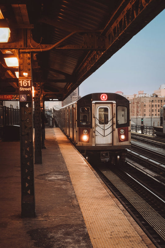 The Bronx: Our common ancestor