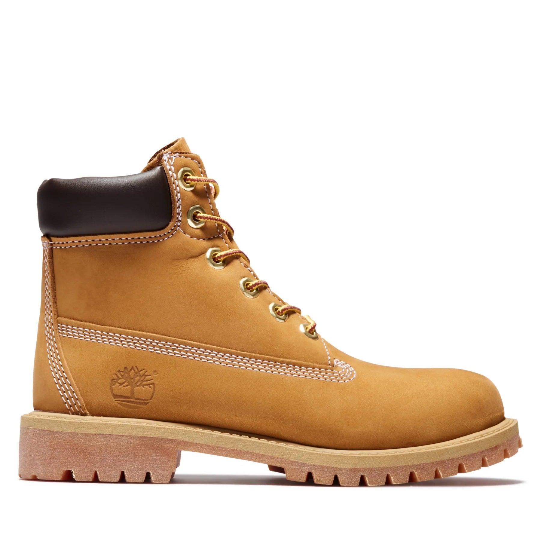 Timberland Big Kids 6 inch Premium Waterproof Boots